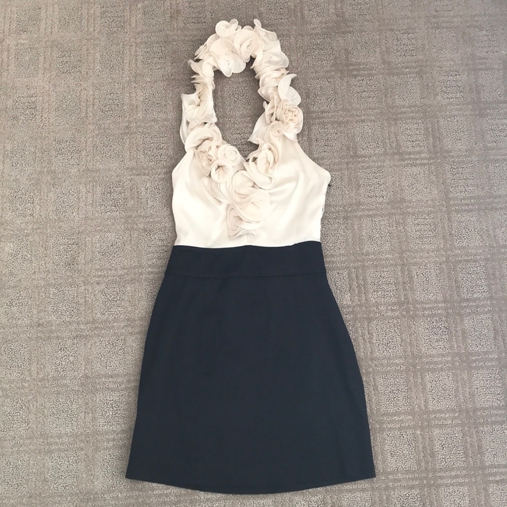 Bebe silk dress